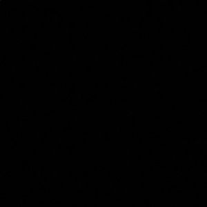 Meet your Posher, Ariel